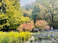 -香山公园