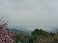 -香雪海