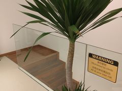 -Line来恩咖啡(石厦花园店)