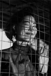 -金夫人婚纱摄影(包河万达店)