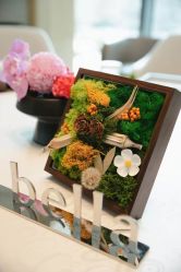 -baby bella小贝拉母婴护理中心(杭州凯宾斯基店)