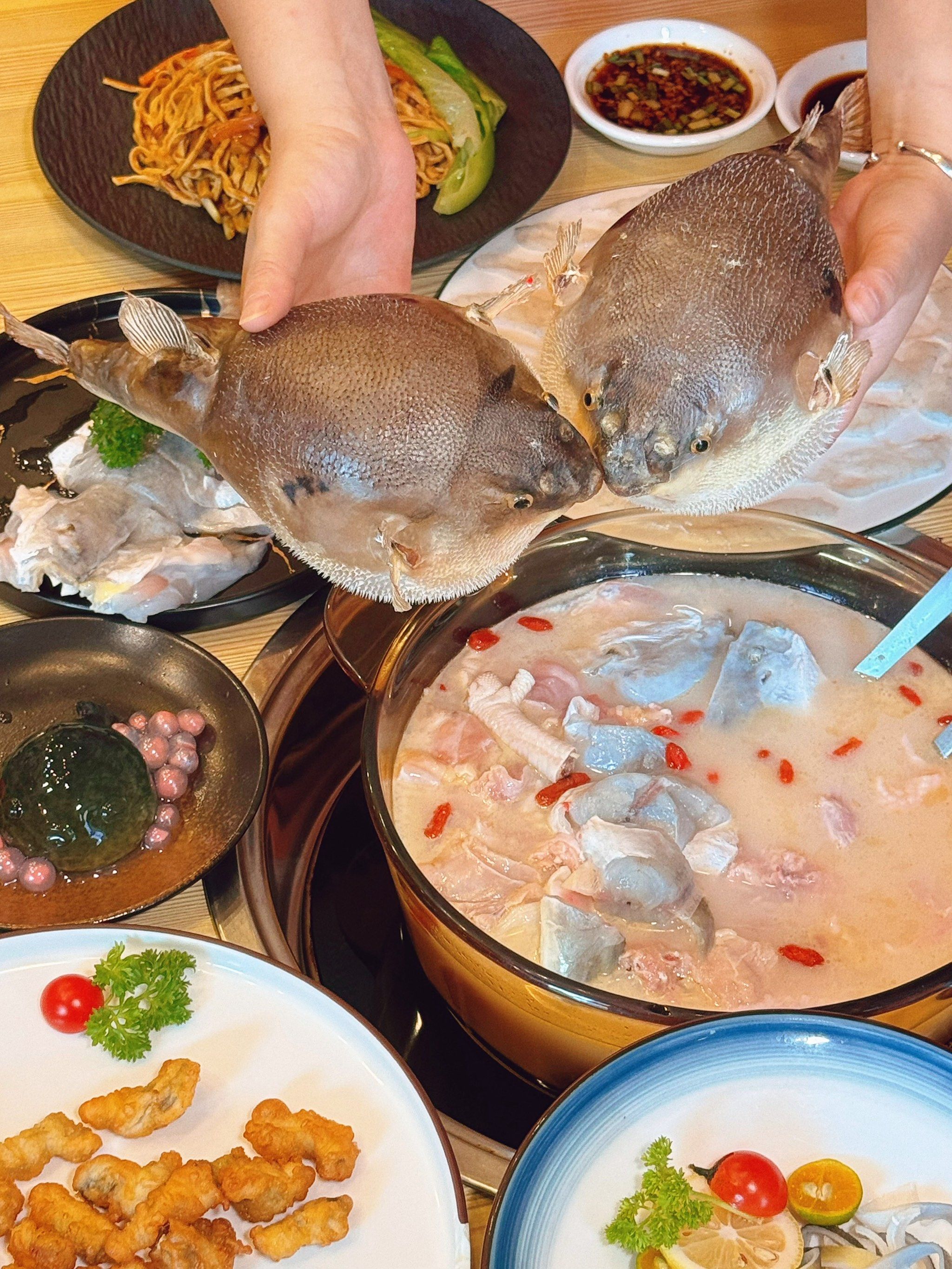 怎一个鲜字了得!体育西这家河豚专门店🐡