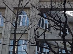 -中国伊斯兰教经学院