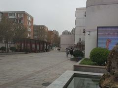 -天津大学附属中学