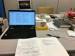 -成都濑川外国语学校