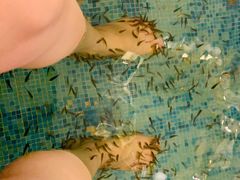 -东方之珠洗浴休闲广场(大港店)