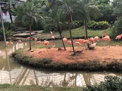 -无锡动物园·太湖欢乐园