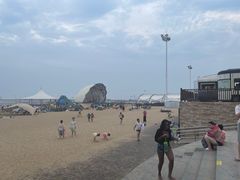-碧海金沙