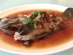古味蒸石斑鱼-浦华大酒店-台南担仔面海鲜楼