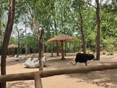 -大连森林动物园