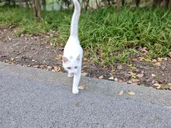 -尚贤河湿地