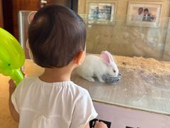 -宁波九龙湖开元度假村
