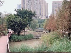 -沐仙湖湿地公园