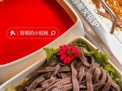 -海底捞火锅(老城根店)