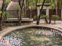 -罗浮山嘉宝田森林温泉度假酒店