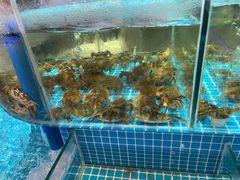 水产区-蓝珊甄选海鲜自助·火锅大排档(近阿那亚店)