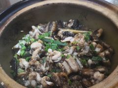 -红星光发煲仔饭(大石街店)