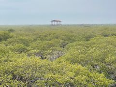 -北海金海湾红树林生态旅游区