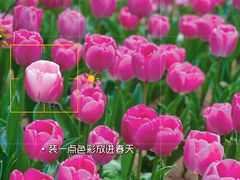 -无锡梅园公园