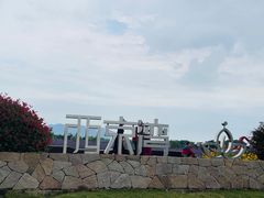 -西京湾花海