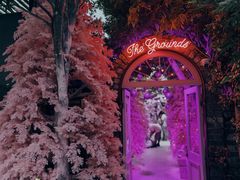 -The Grounds of Alexandria