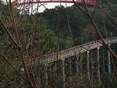 -金鸡山公园