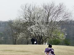 -盘龙城国家考古遗址公园