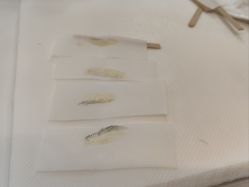 点击看大图 -Wax Brow蜜蜡脱毛美甲美睫眉吧