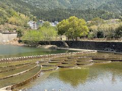 -芦茨金富饭庄·25年老字号·专做稻草鸡