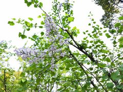 -白塘生态植物园