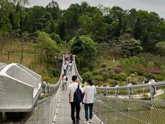 -东莞植物园