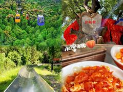 -八大处公园