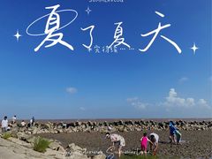 -南汇嘴观海公园