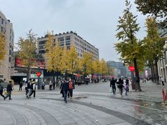 -杭州君悦酒店