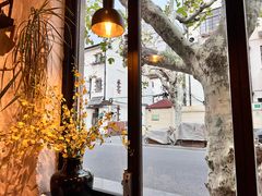-Apollo·西班牙小酒馆(安福路店)