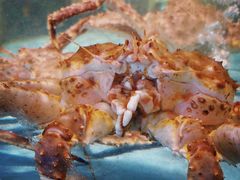 -王庄阿咪海鲜大排档(象园店)