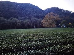 -西湖风景区十里琅珰-五云山