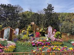 -上海共青森林公园