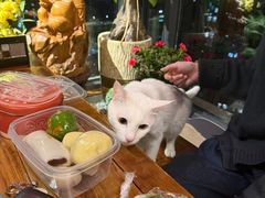 -许阿姨糕团店(南京总店)