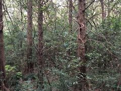 -同里国家湿地公园
