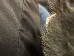 -成都天府丽都喜来登饭店
