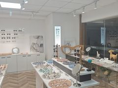 -大视家眼镜(园区星海店)