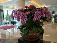 -上海中兴和泰酒店(张江高科地铁站店)
