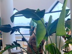 -ChanDu躔度咖啡(灯塔店)