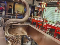 -小龙翻大江文化火锅(宽窄店)