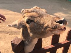 -西安秦岭野生动物园