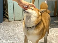 -小时光咖啡馆(北锣鼓巷店)