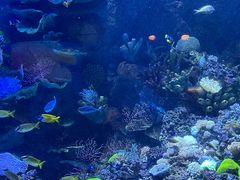 -欢乐海岸海洋奇梦馆