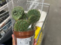 -宜家·瑞典风味餐厅(三桥店)