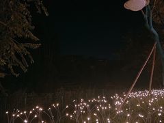 -悦见花开·花园里的火锅·露营·下午茶